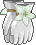 Florist's Gloves (F).png