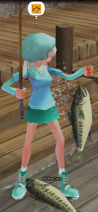 Successfully caught fish!