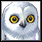 Pet Snowy Owl.png