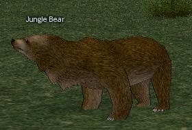 Jungle Bear.jpg