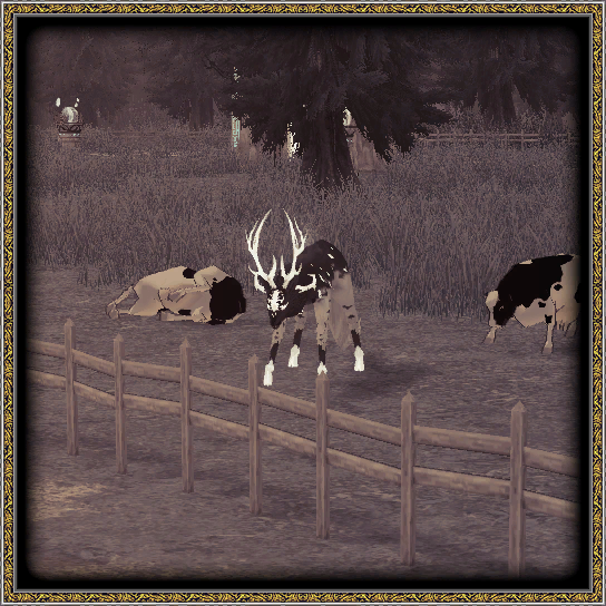 Glenn Bearna - Strange Deer.png