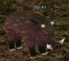 Arat Boar.png